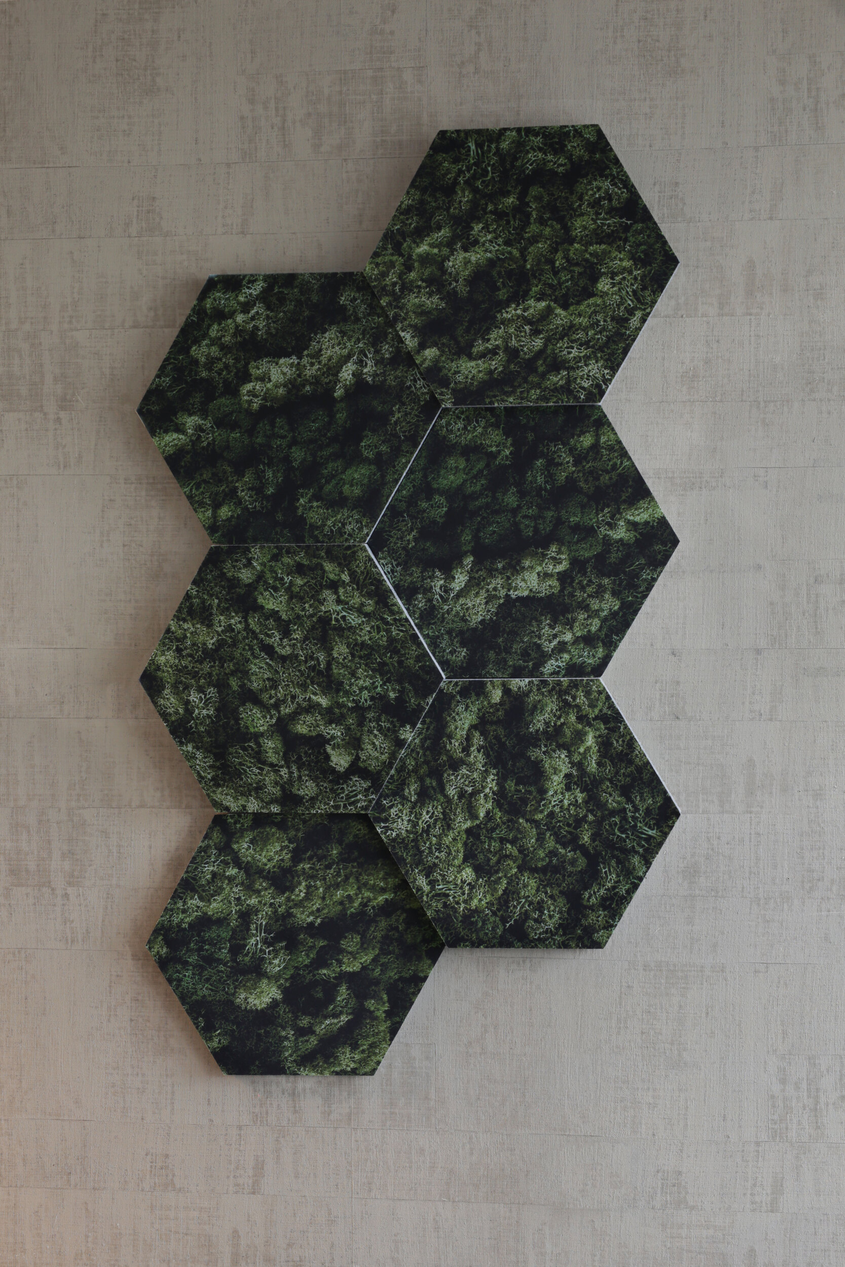 Honey Print - Bild 5