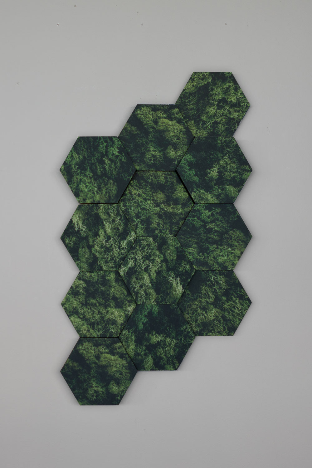 Honey Print Mini – Bild 6